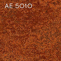 AE 5010