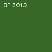 BF 6010