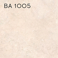 BA 1005