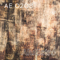 AE 0208