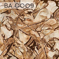 BA 0009